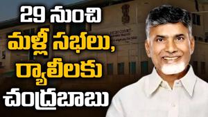 AP High Court Grants Bail to Chandrababu