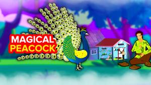 Magical Peacock