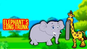 Elephant's Long Trunk