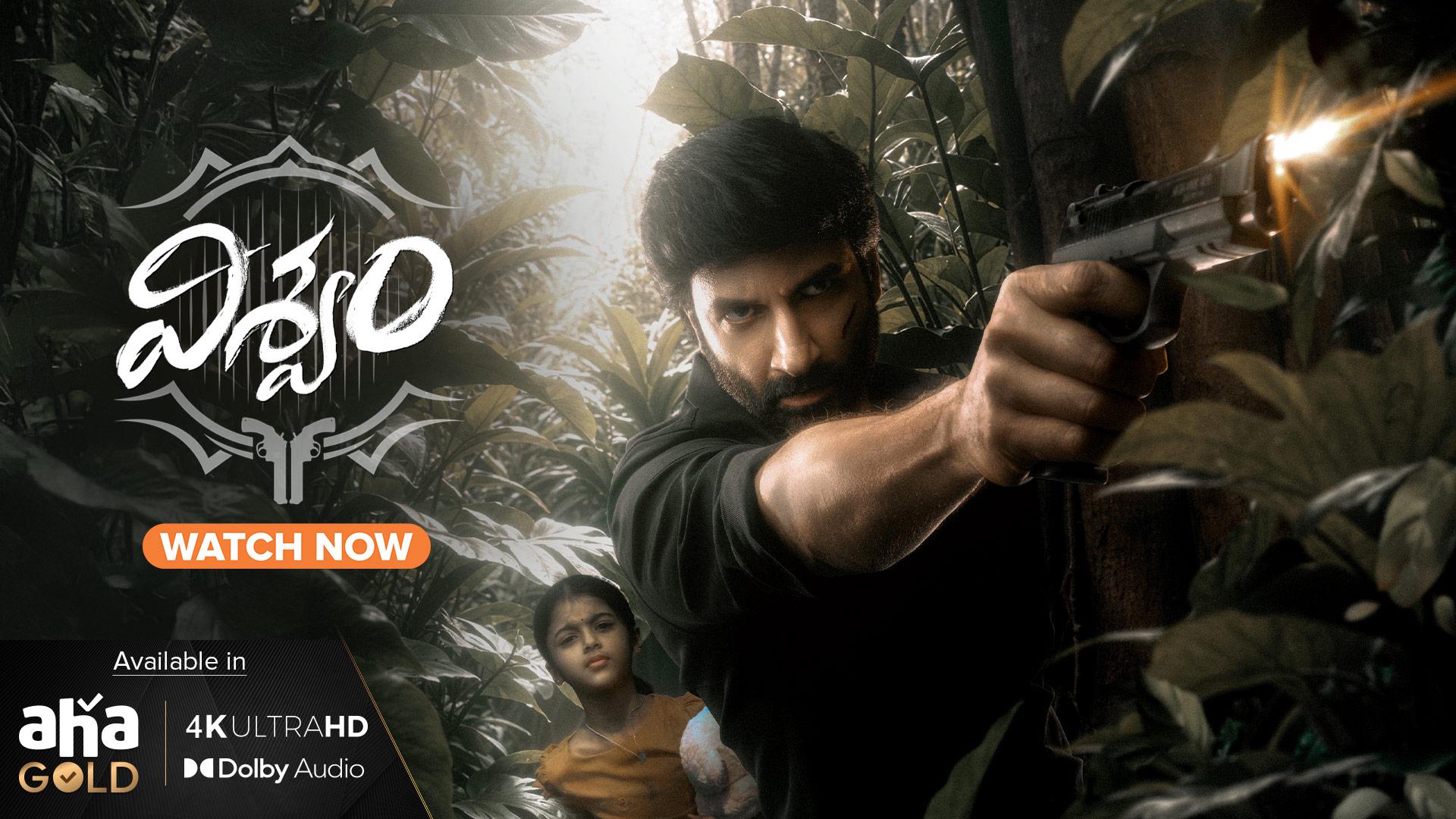 Viswam (2024) Telugu Movie Watch Full HD movie Online or Download Now