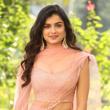 Hemal Ingle