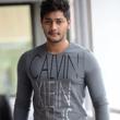 Prince Cecil